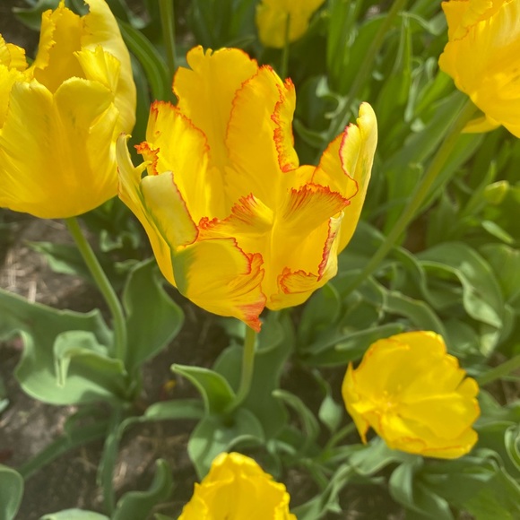 hanmay20